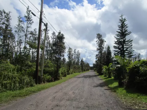 Kurtistown, HI 96760,ROAD 9 (KOLOA MAOLI)