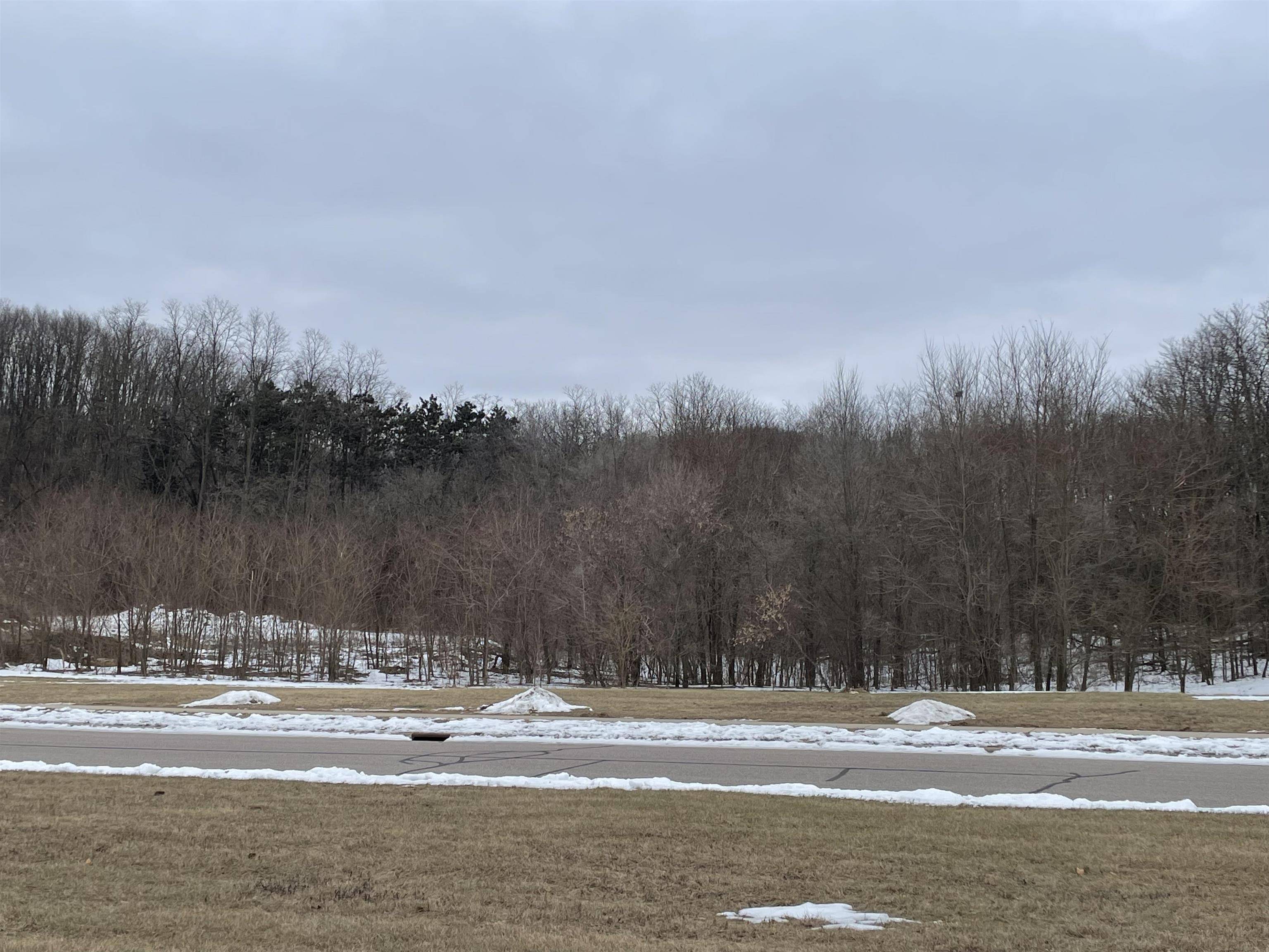 Mazomanie, WI 53560,603 PRAIRIE Lane