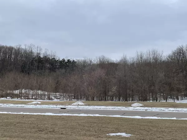 Mazomanie, WI 53560,603 PRAIRIE Lane