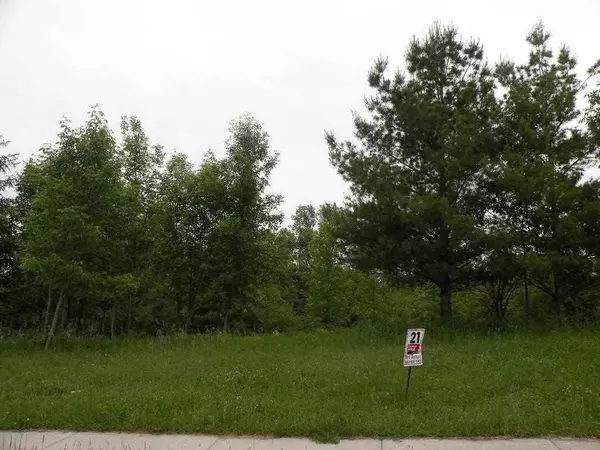 Ripon, WI 54971,L38 Moraine Drive