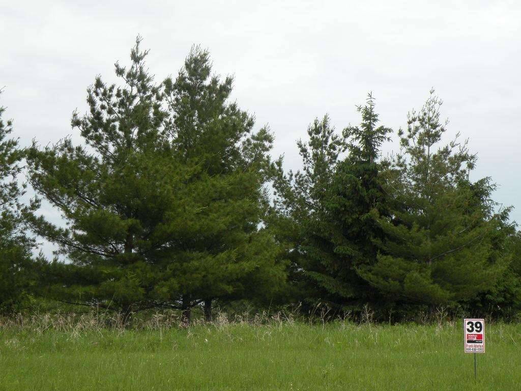 Lot 39 Moraine Drive, Ripon, WI 54971