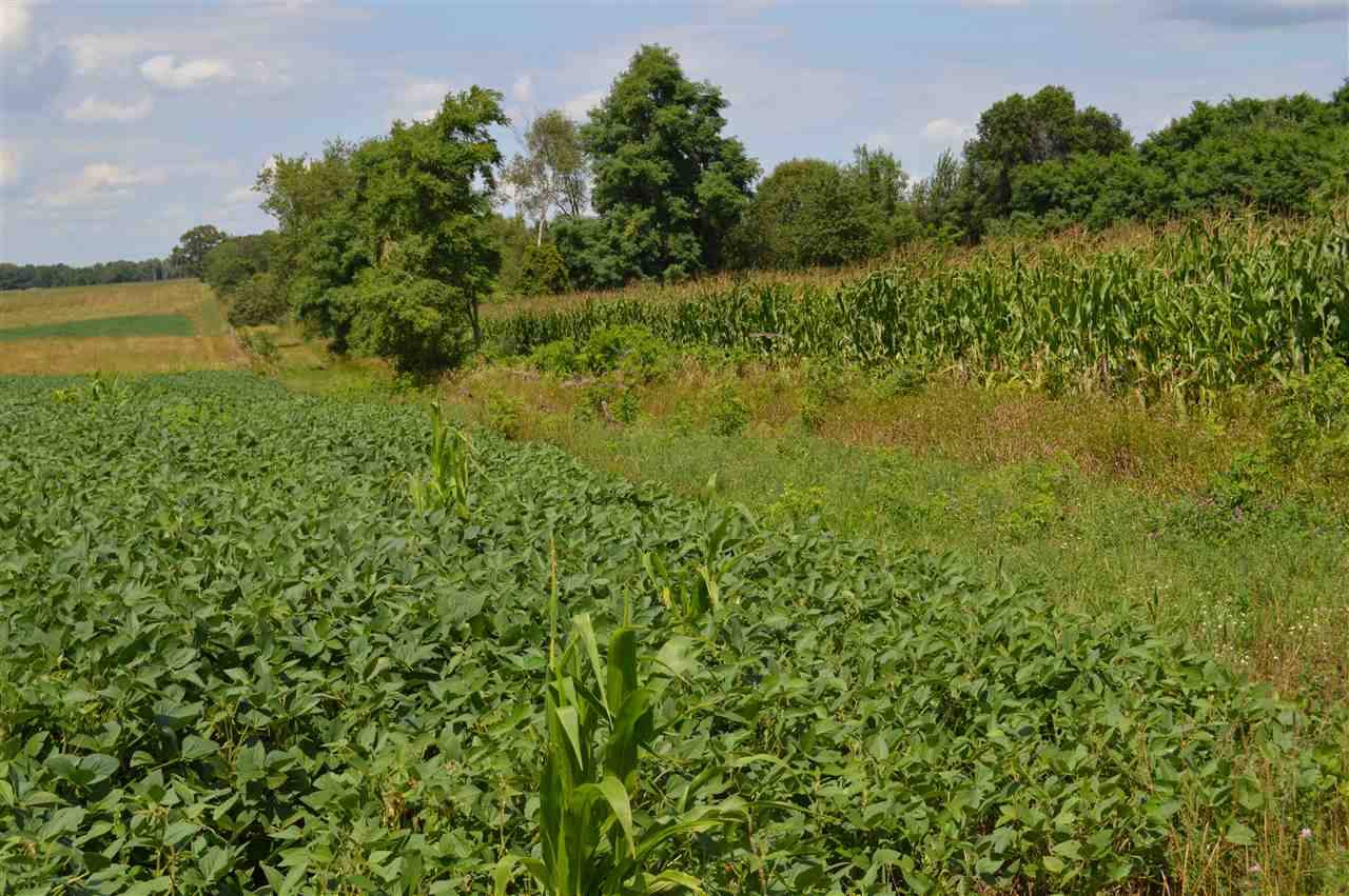 Pardeeville, WI 53954,Lot 1 Langdon Rd
