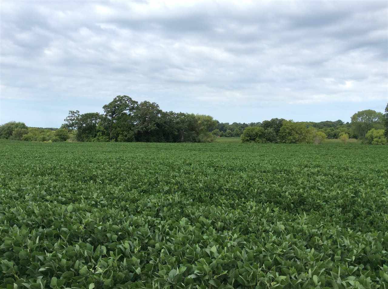 Columbus, WI 53925,26.75 Ac COUNTY ROAD T