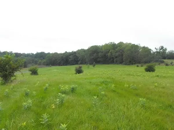 10 Ac County Road S, Cross Plains, WI 53528