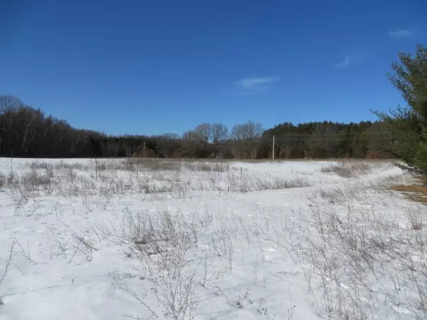 Neshkoro, WI 54960,32 Ac County Road N