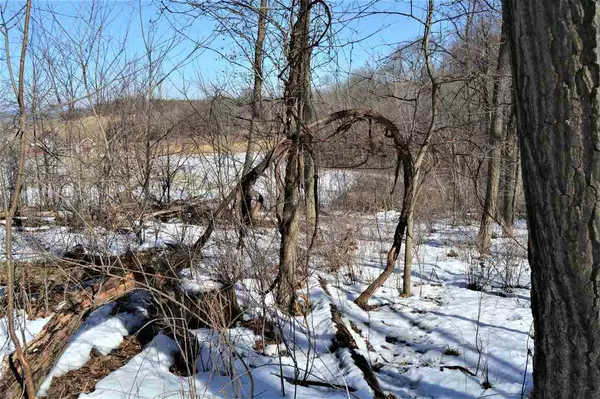 3.97 Ac Badger Rd, Plain, WI 53577