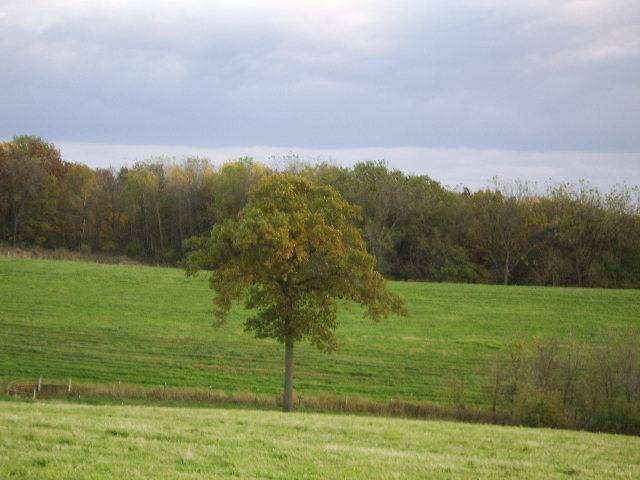 Black Earth, WI 53515,L1 Blackberry Rd
