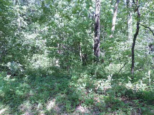 Poynette, WI 53955,lot 42 Wildwood Way