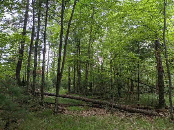 Hancock, WI 54943,2.09 AC 6th Ave