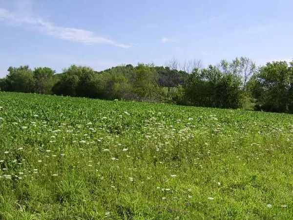 Mazomanie, WI 53560,30 Ac Hwy 19