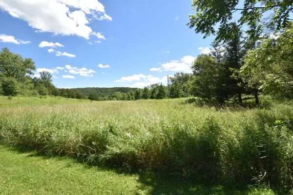 Dodgeville, WI 53533,81 Acres Berg Rd & Mt Hope Road