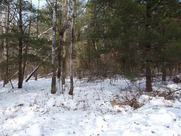 Lot 19 Fur Ct, Wisconsin Dells, WI 53965