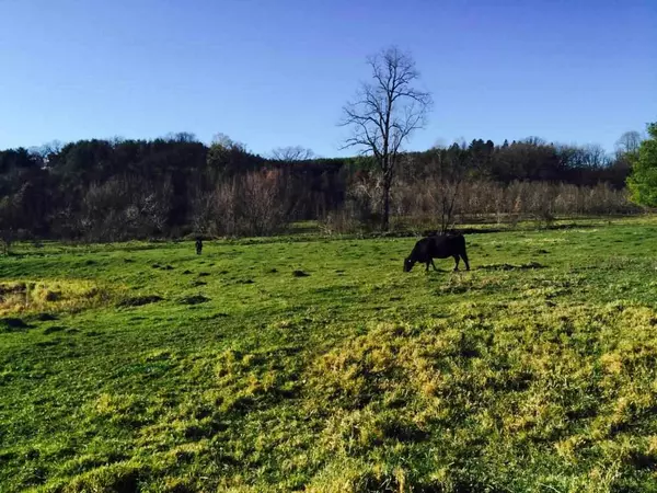 35 Ac Crist Ln, Darlington, WI 53530