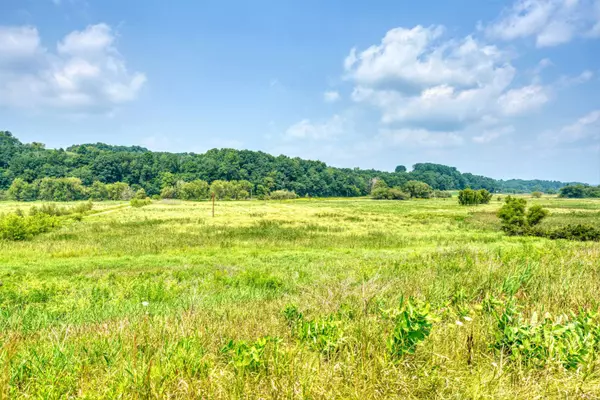 Wonewoc, WI 53968,80 Acres County Road Y