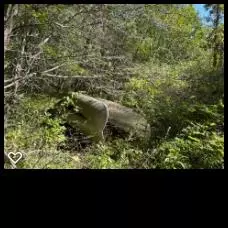 Steuben, WI 54657,L17 & L18 Kickapoo Corners Ln