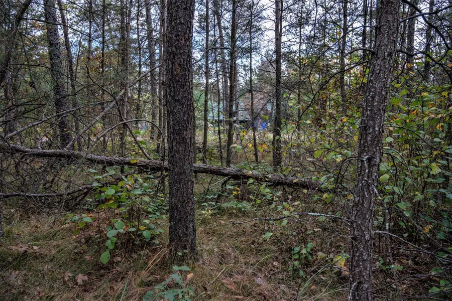 Lot 162 Pine Lane, New Lisbon, WI 53950