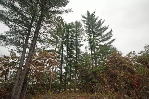 Spring Green, WI 53588,L7 White Pine Way