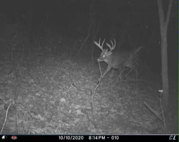 Mineral Point, WI 53565,18074 ONeil Rd