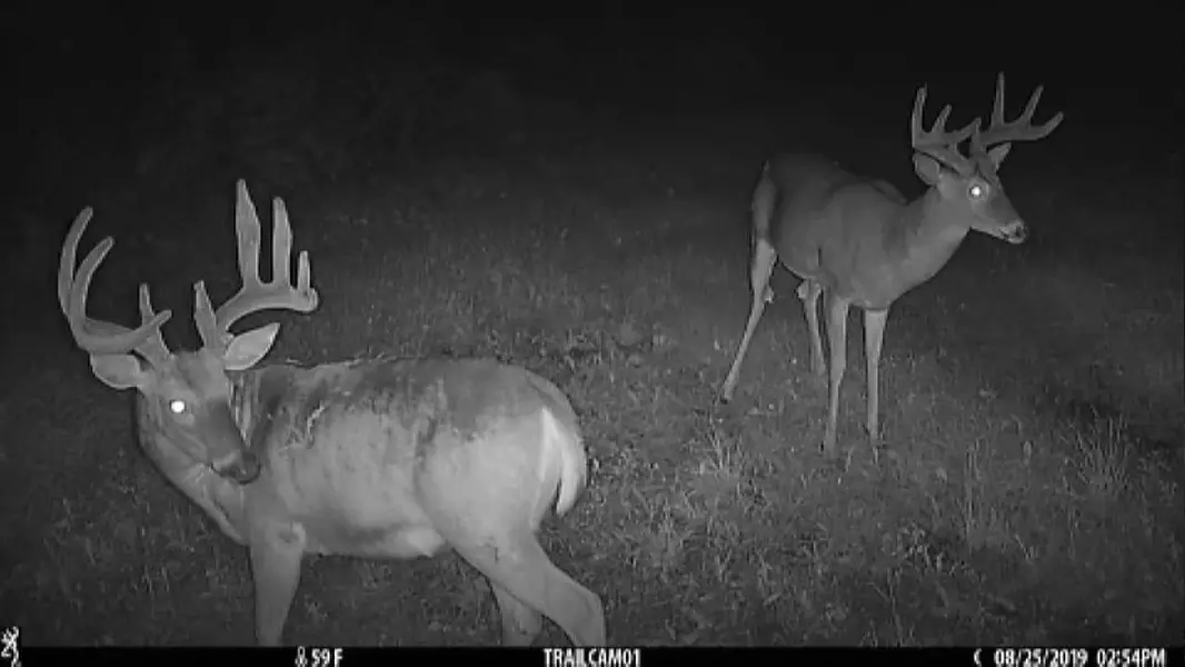 18074 ONeil Rd, Mineral Point, WI 53565