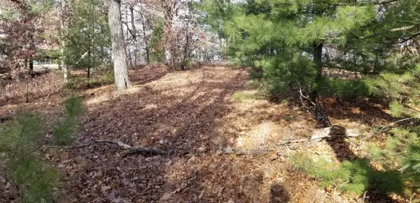 Reedsburg, WI 53959,Lot 3 Park Ln