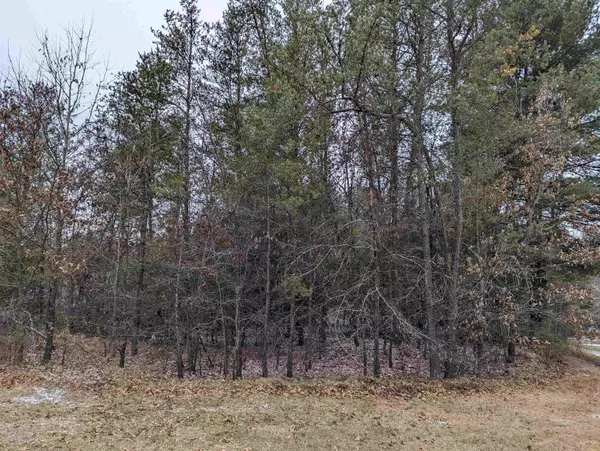 Wisconsin Dells, WI 53965-0000,127 Northwoods Cir