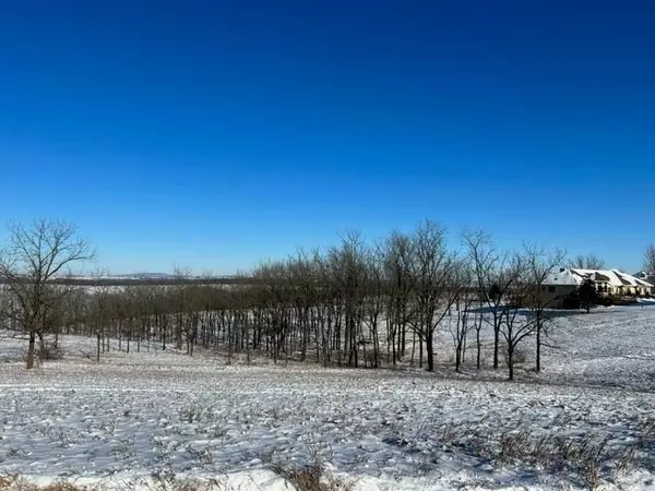 Blanchardville, WI 53516,Lot 13 Hwy 39