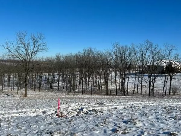 Blanchardville, WI 53516,Lot 13 Hwy 39