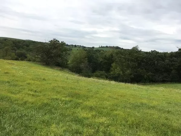 5.13 Ac S Snipe Hollow Rd, Elizabeth, IL 61028