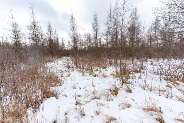 Neshkoro, WI 54960,26.67 AC 20th Ave