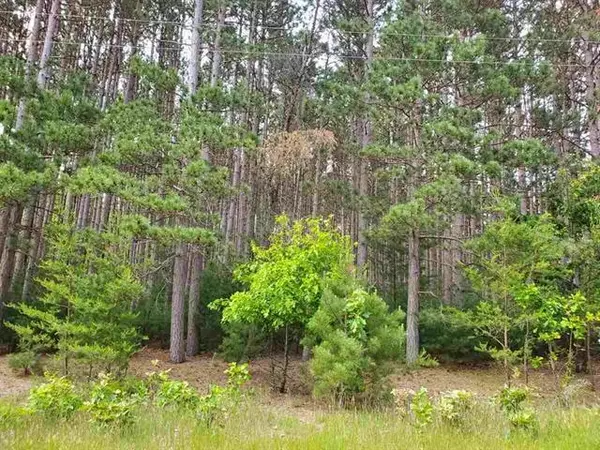 Wisconsin Dells, WI 53965,Lot 88 S Gale Ct