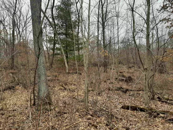 Reedsburg, WI 53959,10 +/- acres Coon Bluff Rd