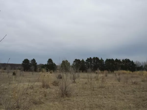 Oxford, WI 53952,19.85 Ac 5th Ln