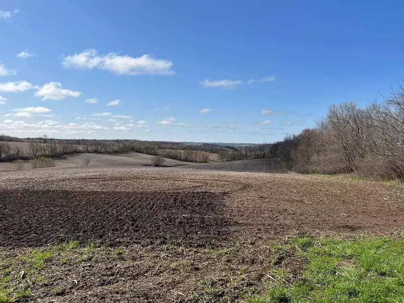 76 Acres Walnut Rd, Monticello, WI 53570