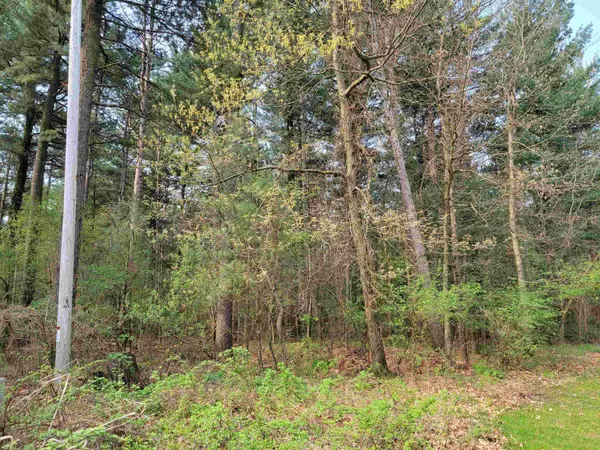 Brodhead, WI 53520,Lot 49 Evergreen St