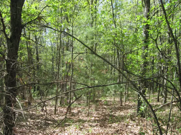 Hancock, WI 53943,961 W Trout Valley Rd