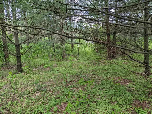 Lot 20 9th St,  Westfield,  WI 53964