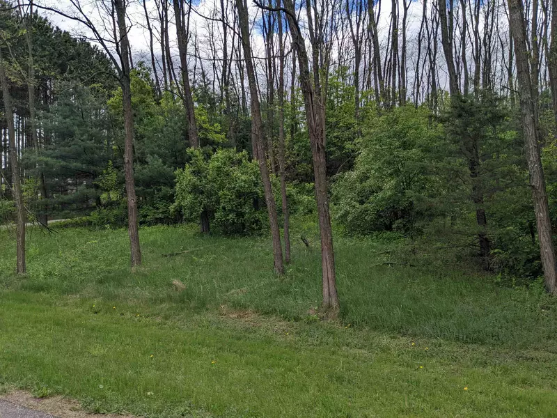 Lot 21 9th St, Westfield, WI 53964