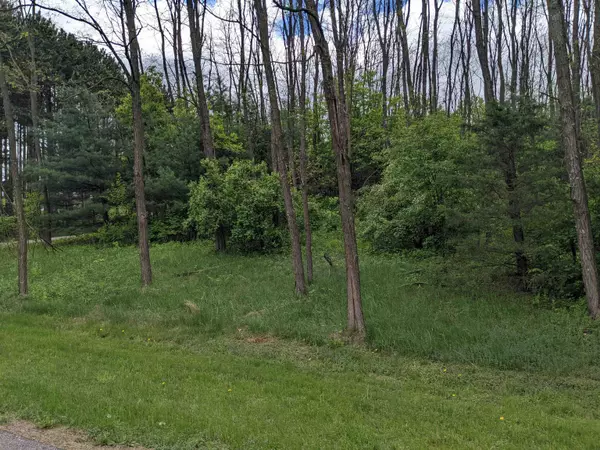 Westfield, WI 53964,Lot 21 9th St