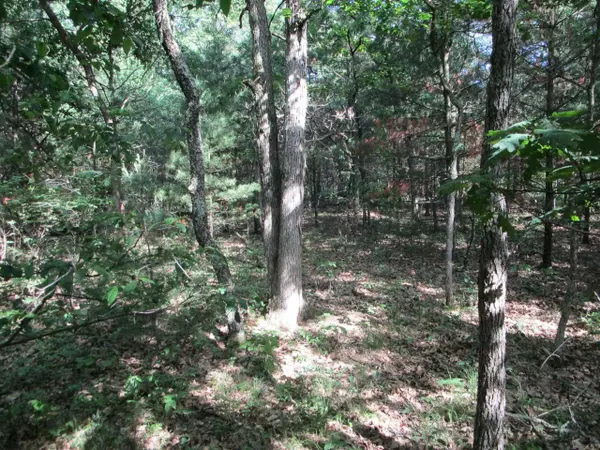 Arkdale, WI 54613,Lot 364-365 N Cypress Ln