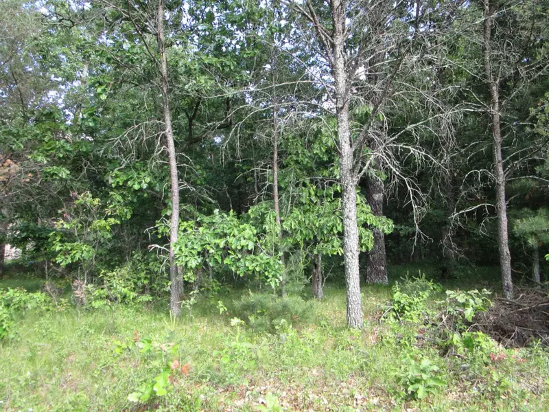 Lot 364-365 N Cypress Ln, Arkdale, WI 54613