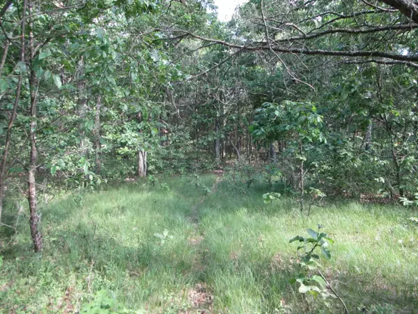 Arkdale, WI 54613,Lot 364-365 N Cypress Ln