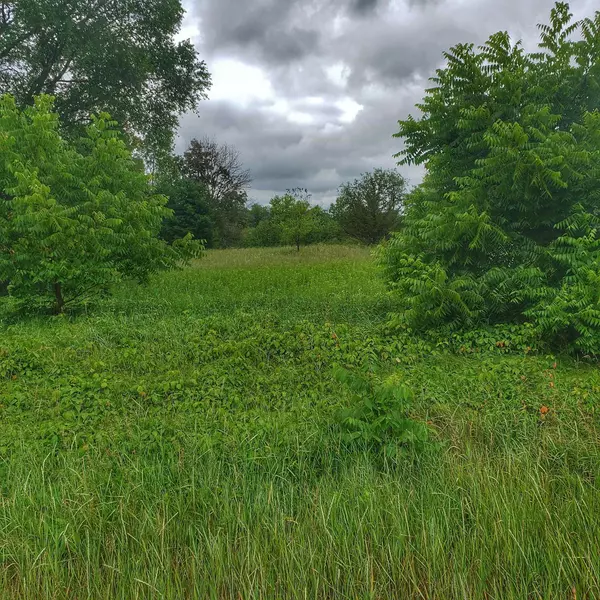 Montello, WI 53949,00 County Road C