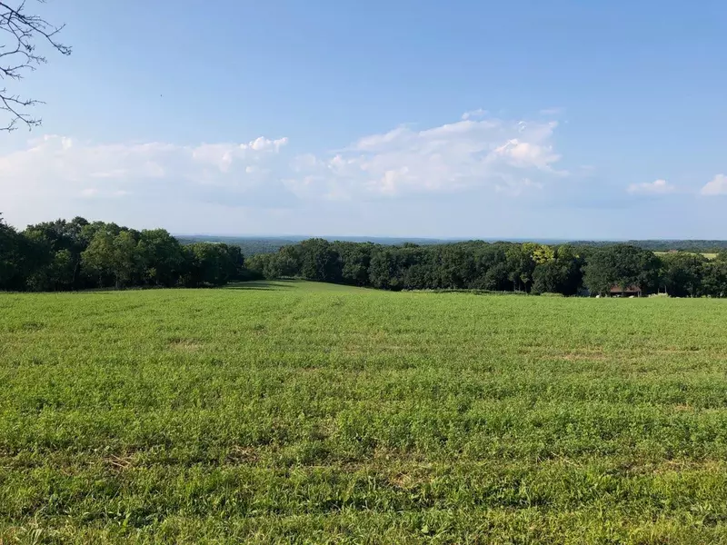 Lot 1 Ryan Rd, Blue Mounds, WI 53572