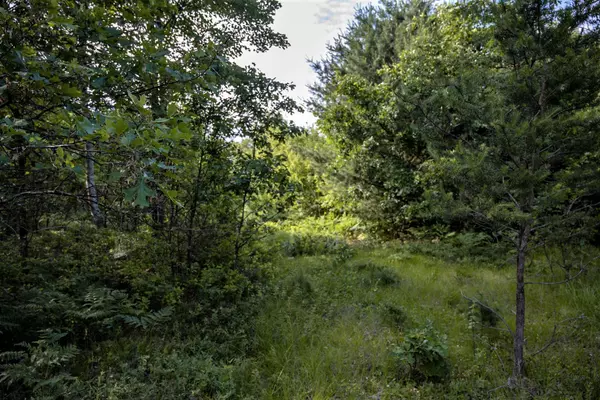 Necedah, WI 54646,Lot 6 Highway 80