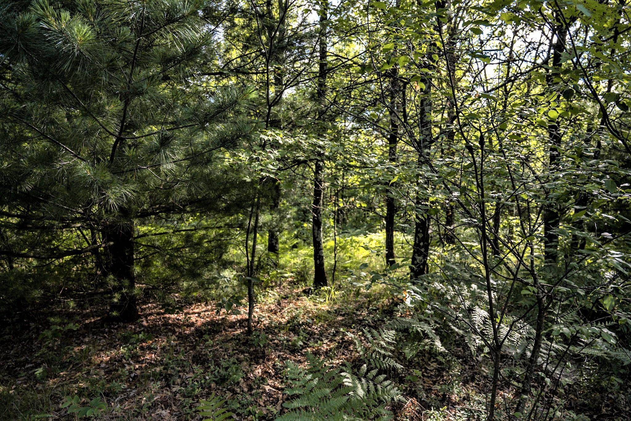 Necedah, WI 54646,Lot 6 Highway 80