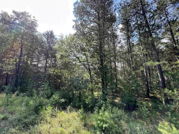 Arkdale, WI 54613,5.5 Acres Browndeer Dr