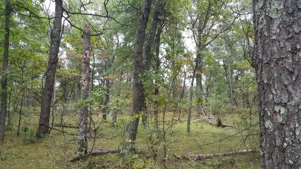 Nekoosa, WI 54457,1581 Kingswood Tr