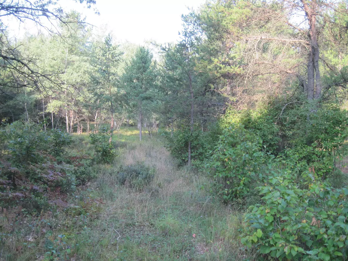 Hancock, WI 54943,L7 6th Ave