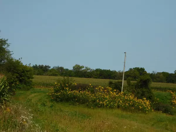 Elizabeth, IL 61028,260 AC Hwy E 20