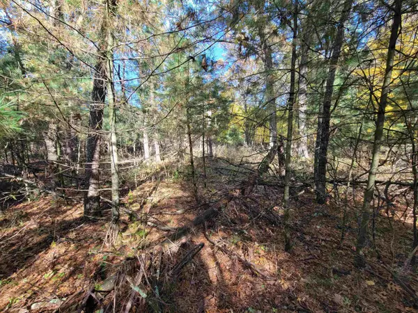612 County Road Z, Nekoosa, WI 54457
